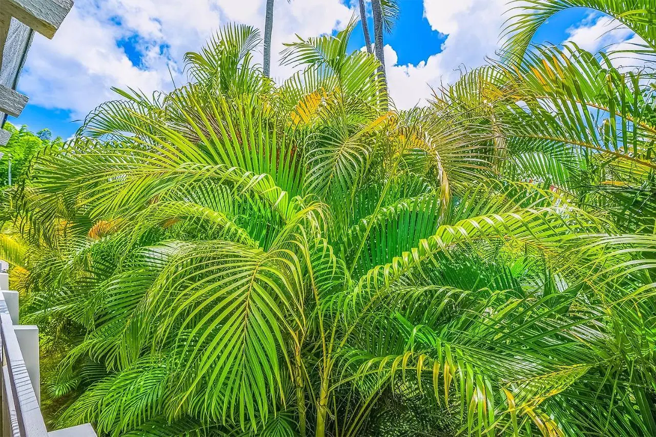 Plantation Hale A10 Apartman Kapaa 0*,  Amerikai Egyesült Államok